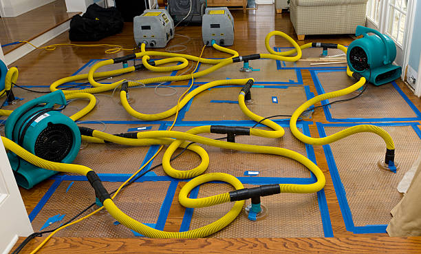 Professional Sewage Cleanup technician working in Camden, NJ
